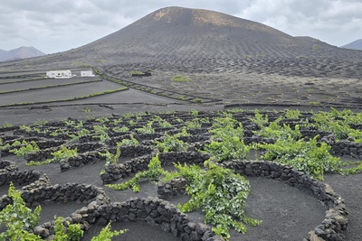 GRAND TOUR OF LANZAROTE